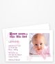 B 41 Baby Schmetterlinge